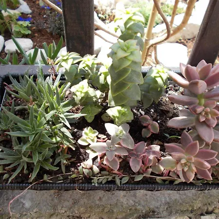 With Parking Space - 7154 Apartman *