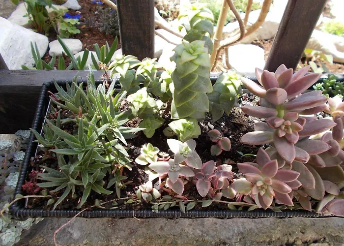 With Parking Space - 7154 Apartman *